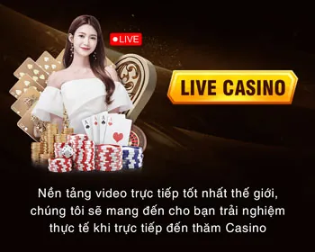 Hỗ trợ từ các tổ chức chuyên nghiệp về cờ bạc